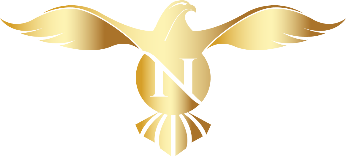 N64 Falcon - Digital Marketing Client